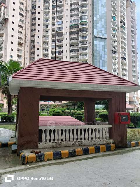 3 BHK Flat In Amrapali Sapphire For Sale  In Sector-45