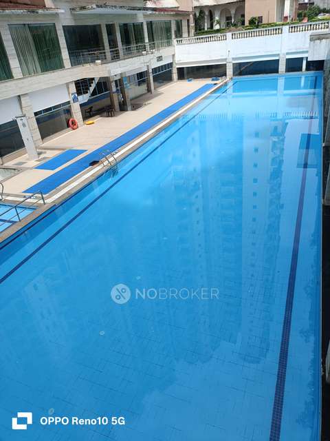 3 BHK Flat In Amrapali Sapphire For Sale  In Sector-45