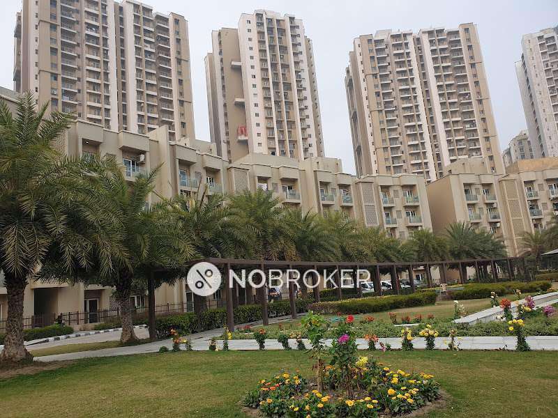 3 BHK Flat In Paras Tierea For Sale  In Sector 137