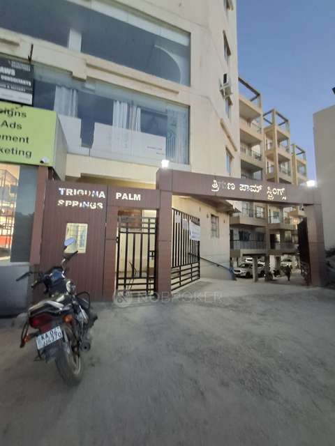 2 BHK Flat In Triguna Palm Springs Apartment For Sale  In Yelahanka