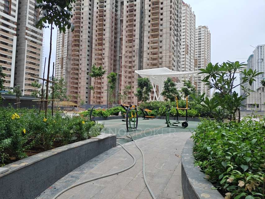 3 BHK Flat In Rajapushpa Provincia for Rent  In Narsingi