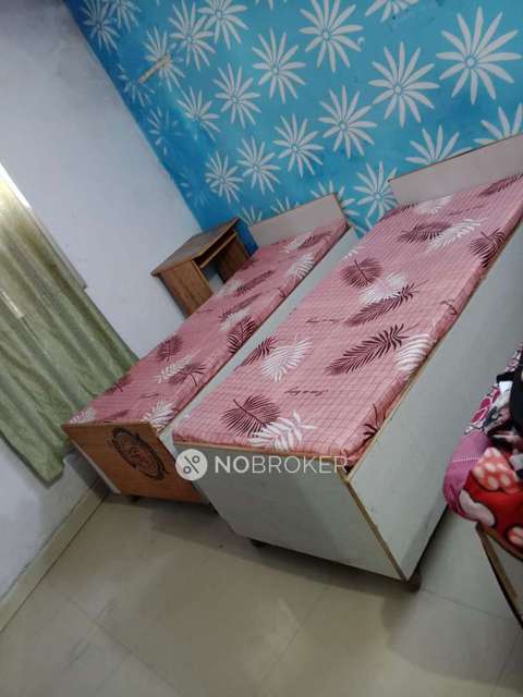 PG for Anyone in Sector 63 A