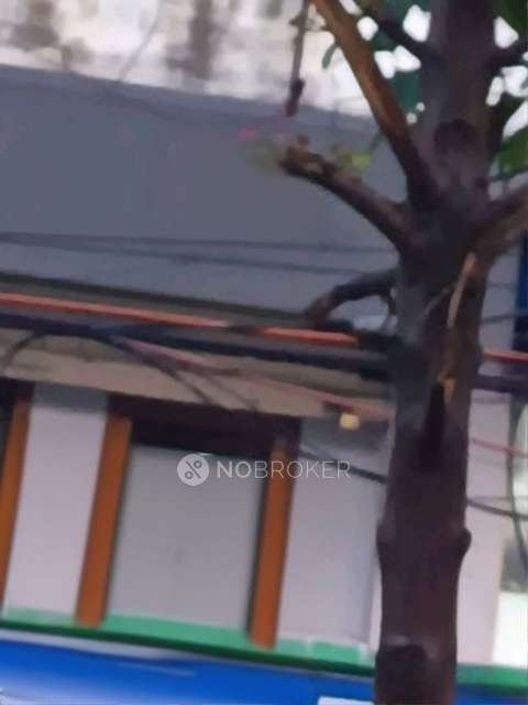 1 RK Flat for Rent  In Ameerpet