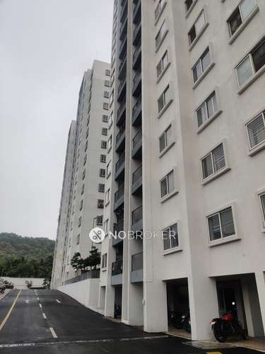 2 BHK Flat In The Cliff Garden for Rent  In Hinjawadi