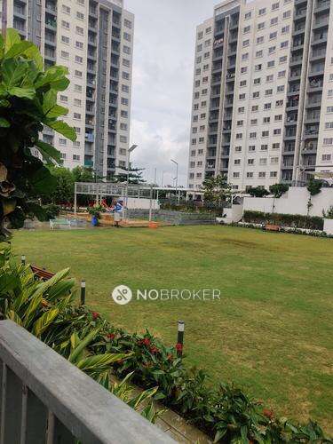 2 BHK Flat In The Cliff Garden for Rent  In Hinjawadi