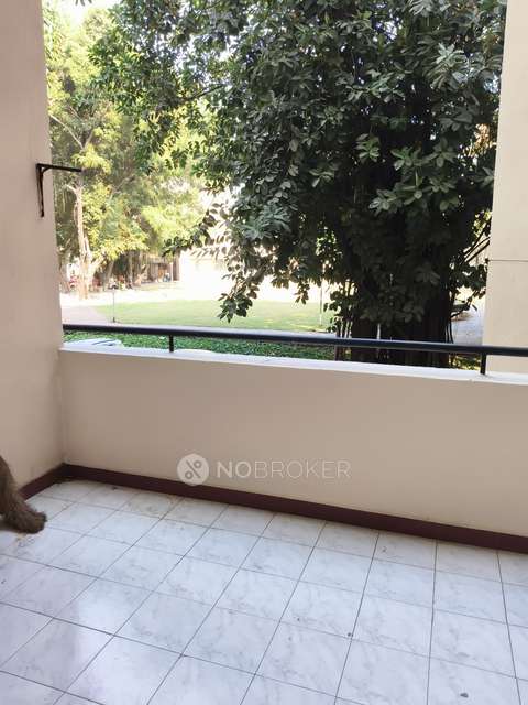 2 BHK Flat In Daffodil Building for Rent  In Daffodils Apartment