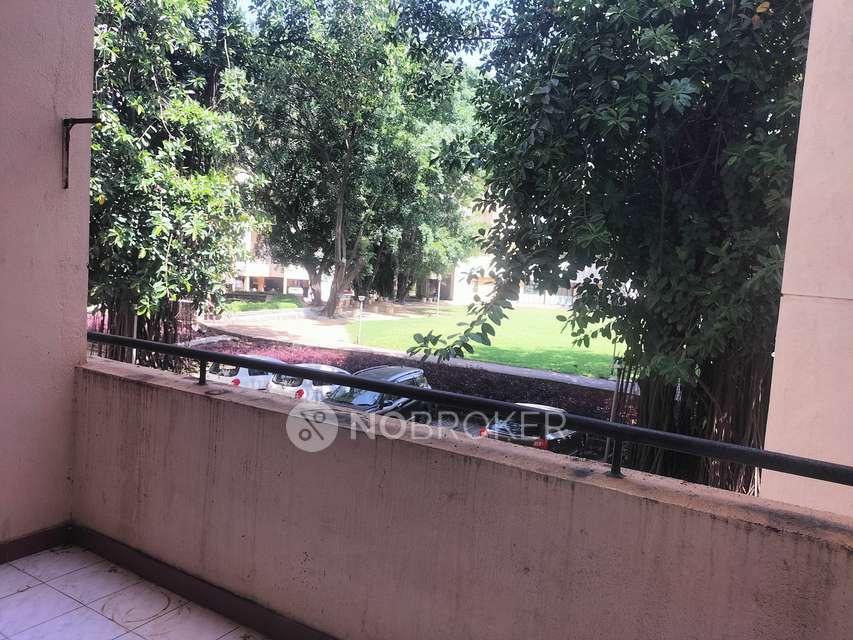 2 BHK Flat In Daffodil Building for Rent  In Daffodils Apartment Building F(b Wing), Magarpatta, Hadapsar, Pune, Maharashtra 411013, India