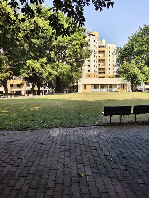 2 BHK Flat In Daffodil Building for Rent  In Daffodils Apartment