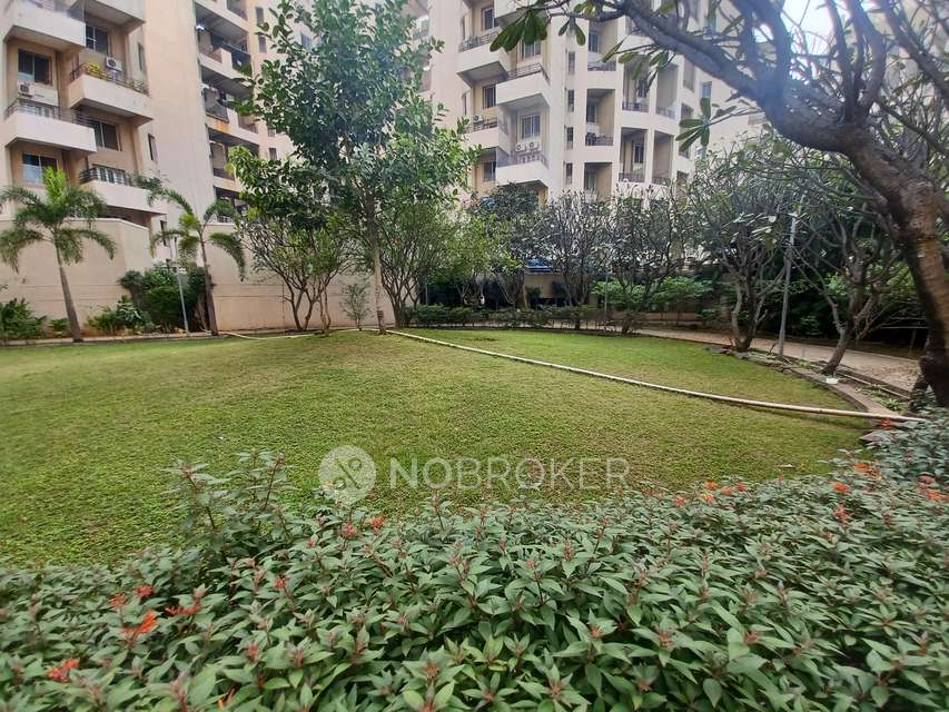 3 BHK Flat In Swiss County Rd for Rent In Thergaon