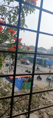 1 BHK Flat In Shree Sankalp Apartment for Rent  In Warje