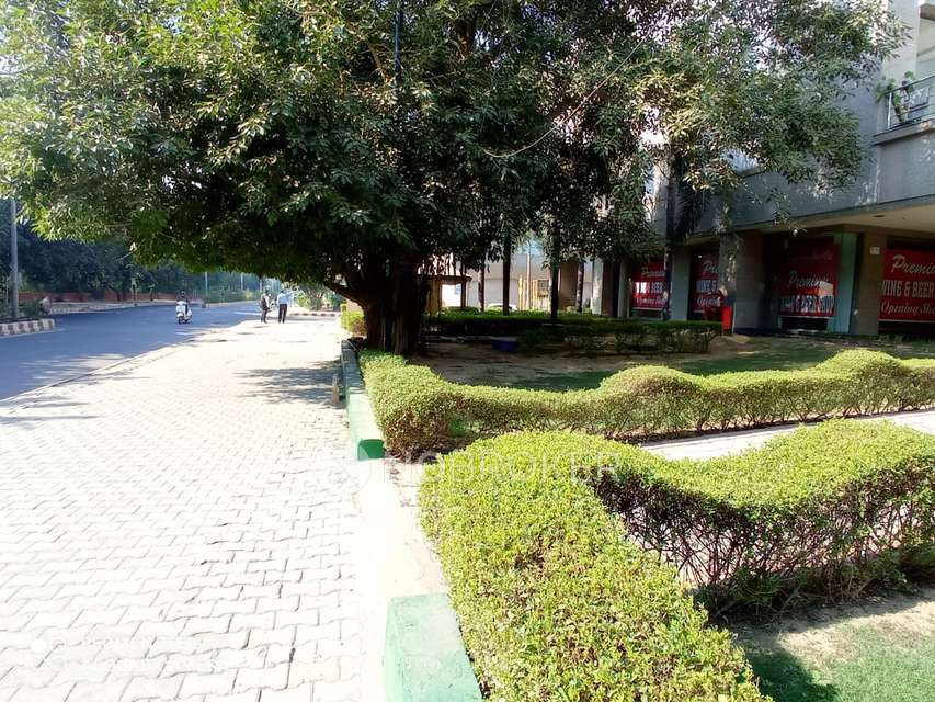 Showroom in Dlf South Court, Delhi for Rent 