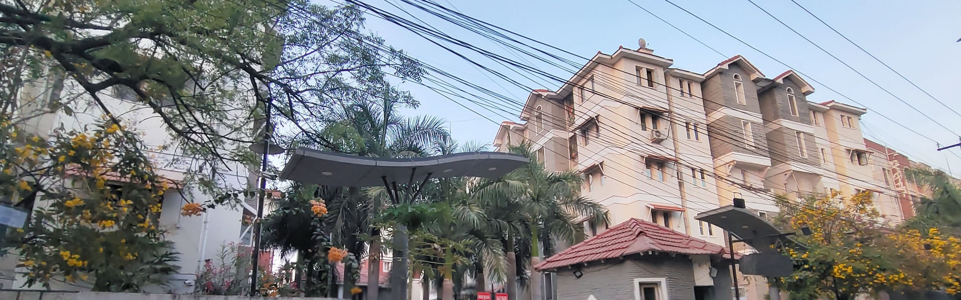 Cascade Greens Lotus