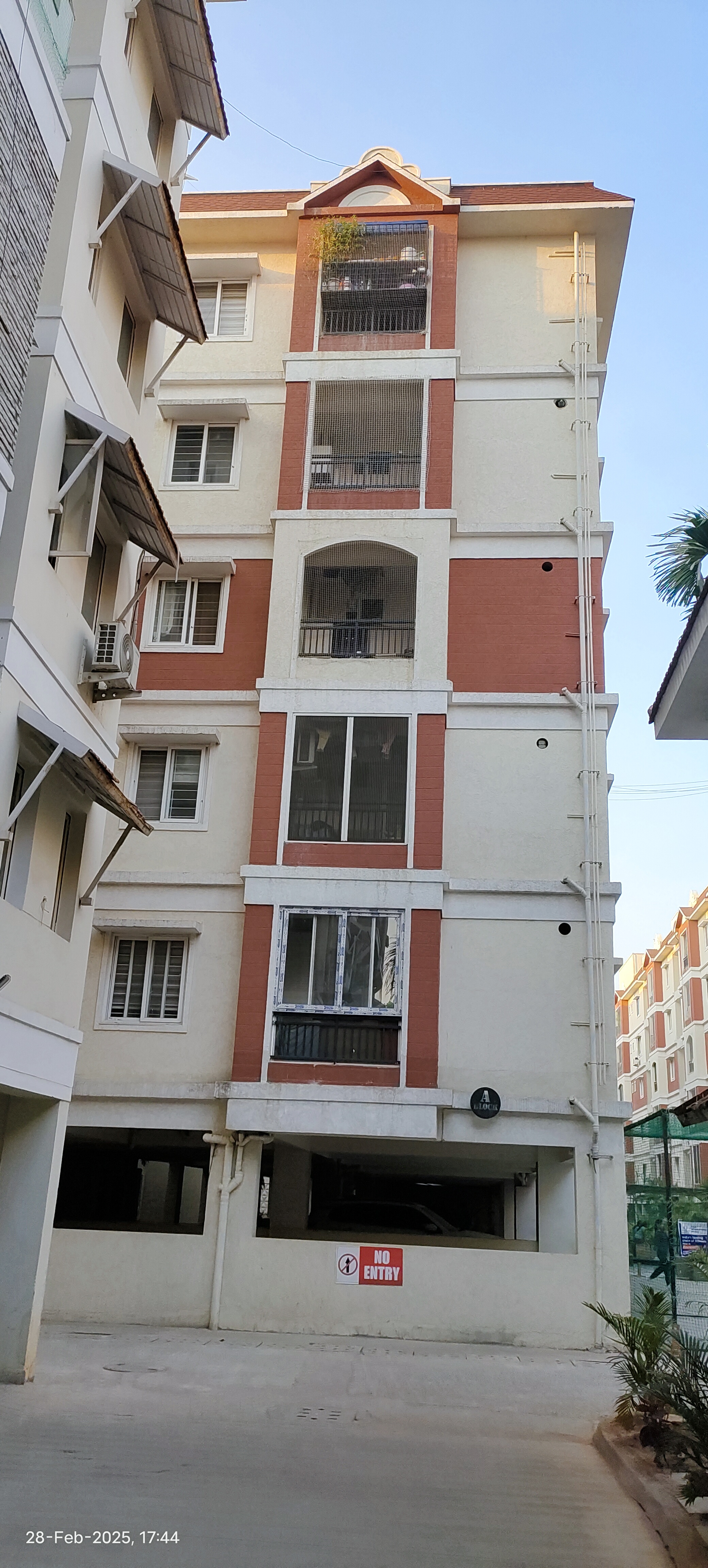 Cascade Greens Lotus