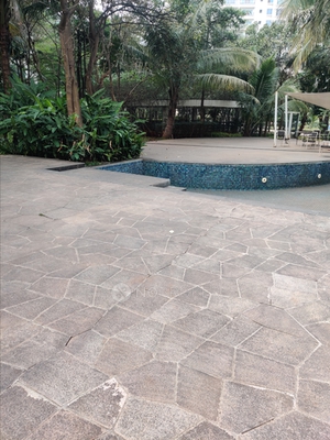 2 BHK Flat In Megapolis Sangria Towers for Rent  In Hinjewadi Phase-3