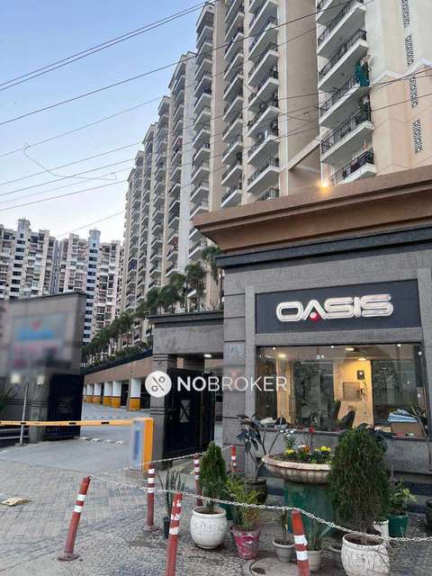 3 BHK Flat In Oasis Venetia Heights for Rent  In Surajpur