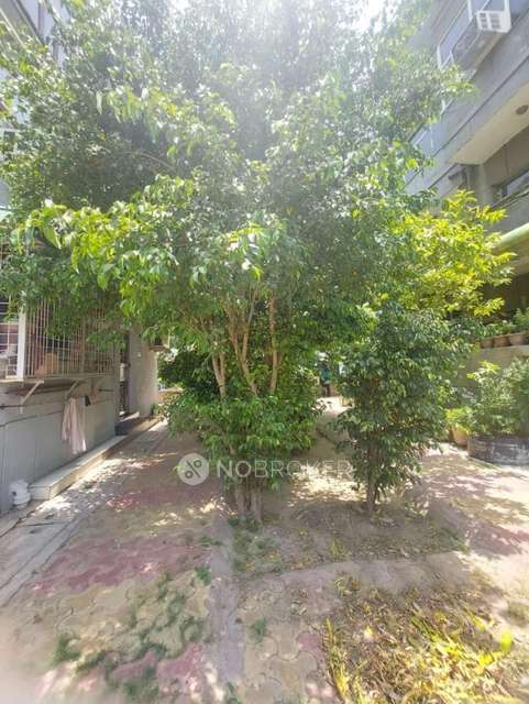 3 BHK Flat In Dda Mig Flats  For Sale  In  Punjabi Bagh