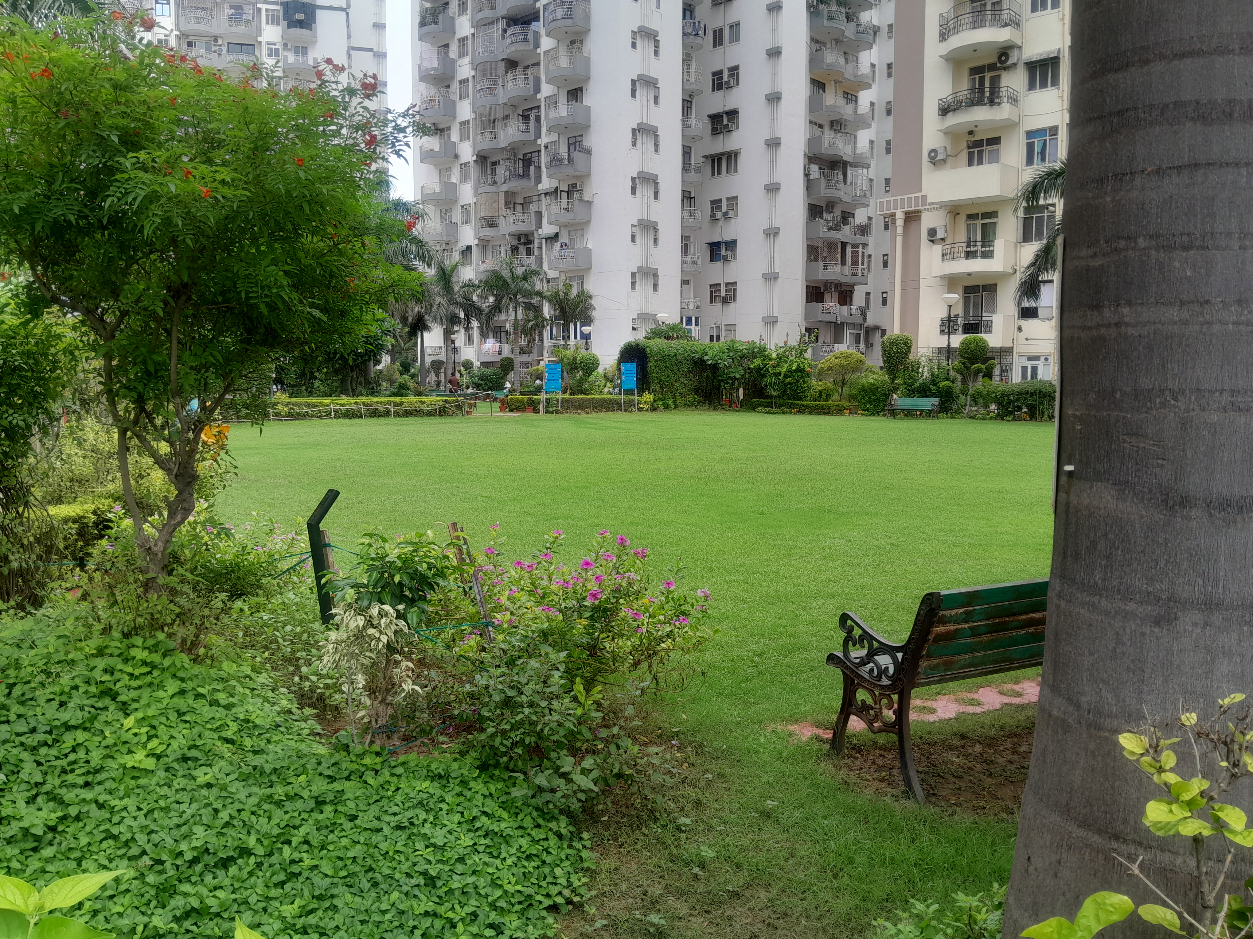 Anant Maple Crescent