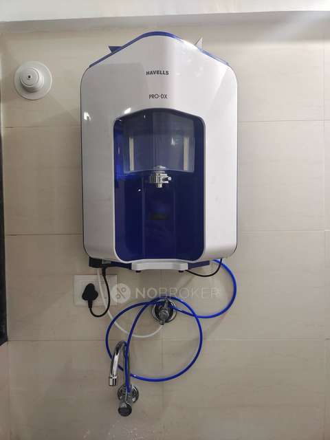 1 BHK Flat In Prasad Pyramid County Bhukum Appartment for Rent  In Pyramid County, Bhukum