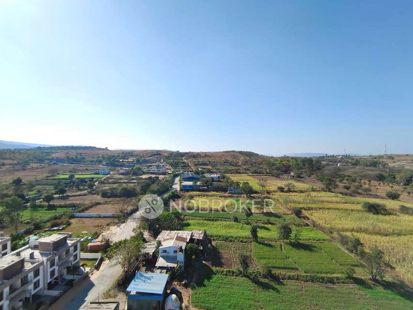 1 BHK Flat In Prasad Pyramid County Bhukum Appartment for Rent  In Pyramid County, Bhukum