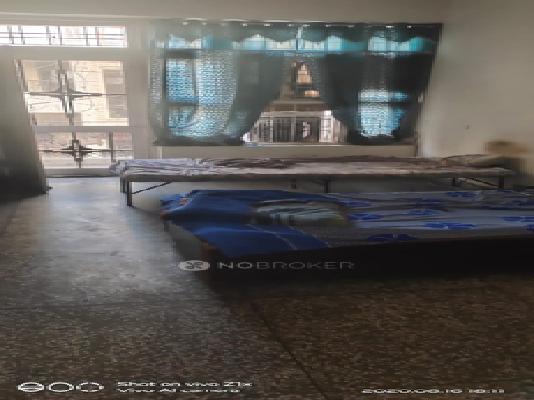 1 RK Flat In Greenwood City for Rent  In Sector 46