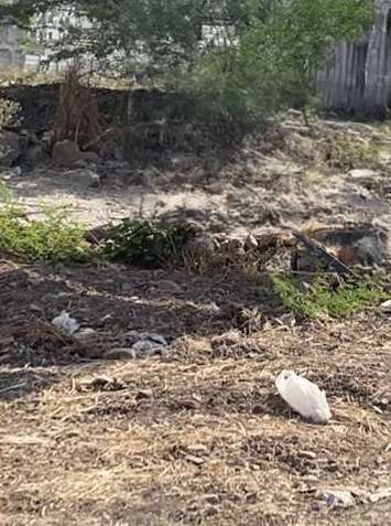 Godown/Warehouse in Alandi, Pune for Rent 