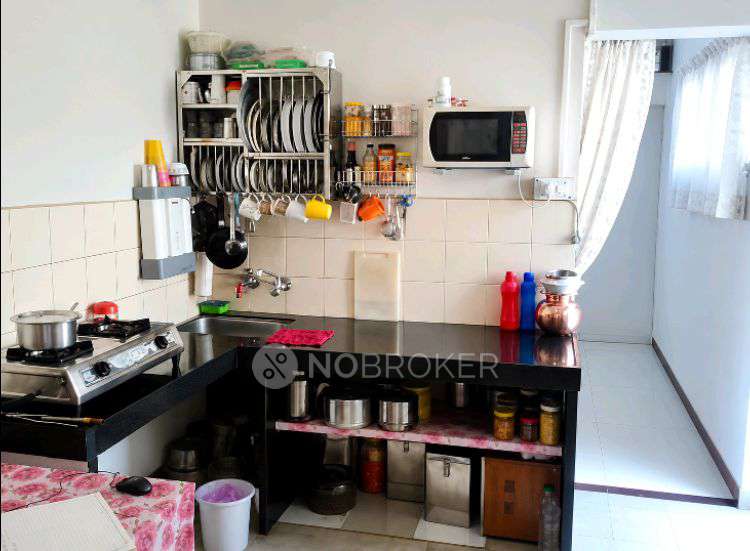 1 BHK Flat In Vastu Rajani Apartment, Bopod, Elphiston Road, Bhind Ranbow Apartment. for Rent  In Aundh