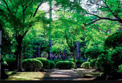 Plot For Sale  In Glf Palm Meadows In Sector 78