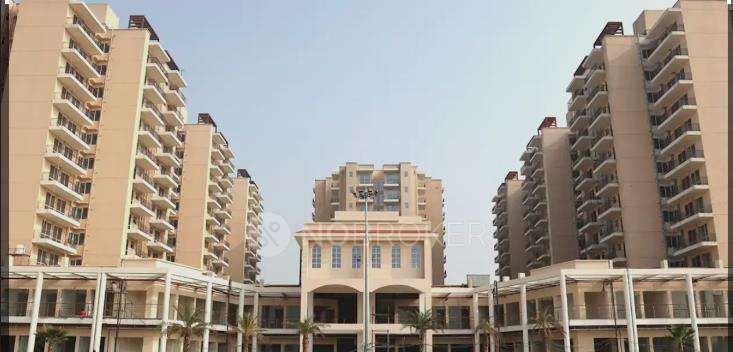 3 BHK Flat In Signature Global Andour Heights For Sale  In Sector 71
