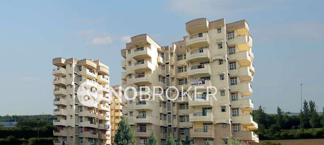 2 BHK Flat In Awho Devinder Vihar,  for Rent  In Sector 56