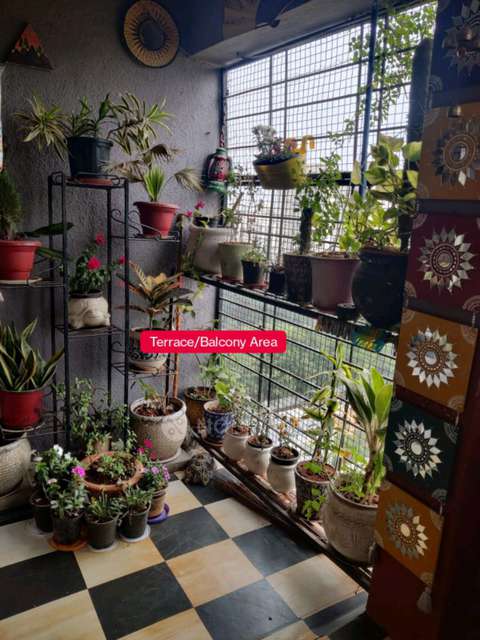 3 BHK Flat In Mantra Senses For Sale  In Handewadi