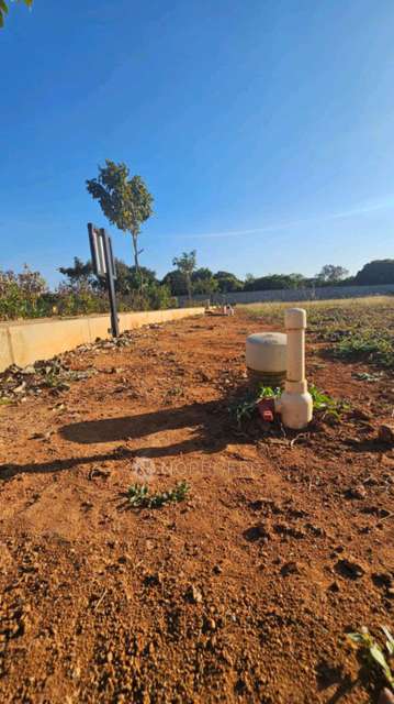 Plot For Sale  In Assets Orange Blossoms In Devanahalli