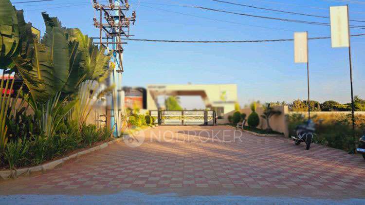 Plot For Sale  In Assets Orange Blossoms In Devanahalli