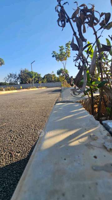 Plot For Sale  In Assets Orange Blossoms In Devanahalli