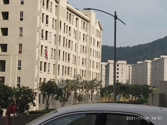 3 BHK Flat In Hinjewadi Hills Chs , Marunji Road for Rent In Hinjewadi