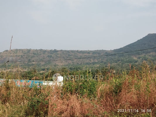 3 BHK Flat In Hinjewadi Hills Chs , Marunji Road for Rent In Hinjewadi