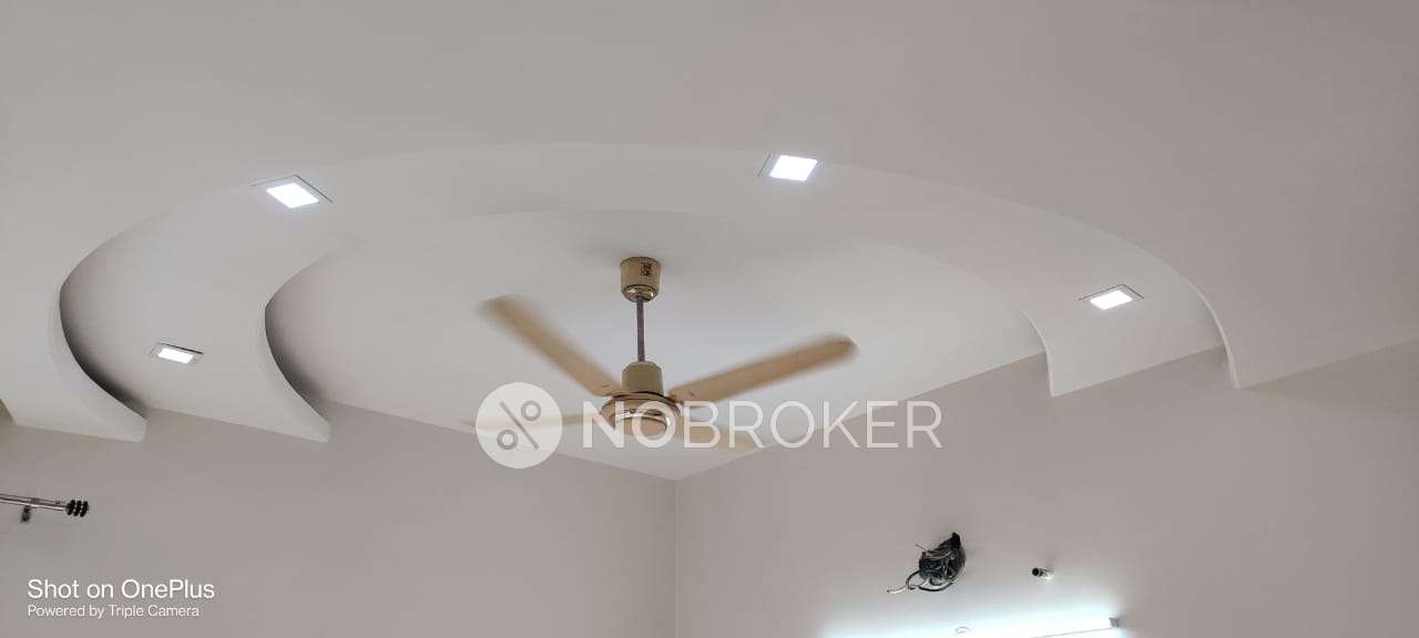 4+ BHK Flat In Sushant Lok for Rent  In Sushant Lok Block B
