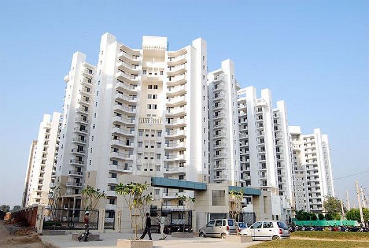 Wembley Estate Sector 49 Without Brokerage Semifurnished 3 BHK Flat