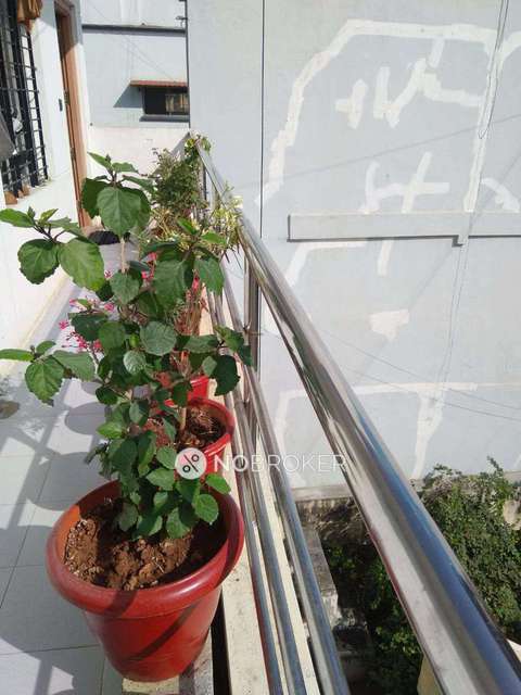 3 BHK Flat In Police Station Road Basavanagudi for Rent  In  Basavanagudi