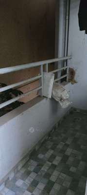 Shared Room for Female In 2 BHK  In Santkrupa Apartment  In Karve Nagar