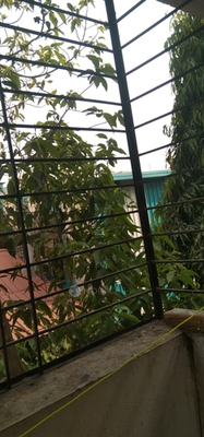 2 BHK House for Rent  In Bibwewadi