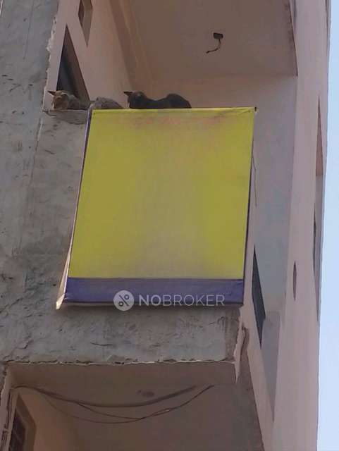 PG for Girls in Dundahera