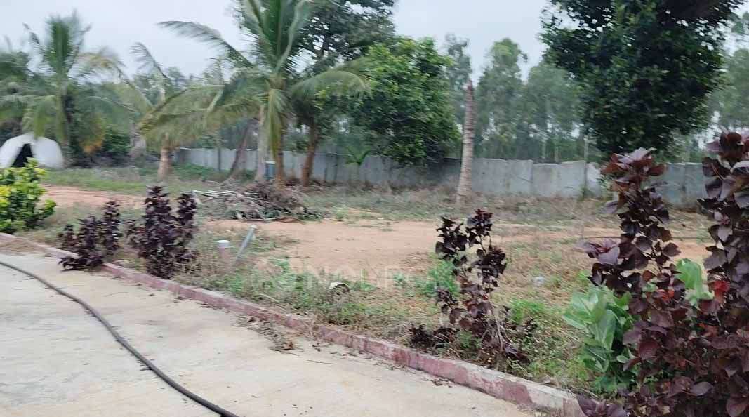 Plot For Sale  In Aalaya Bliss In S Narayanakere