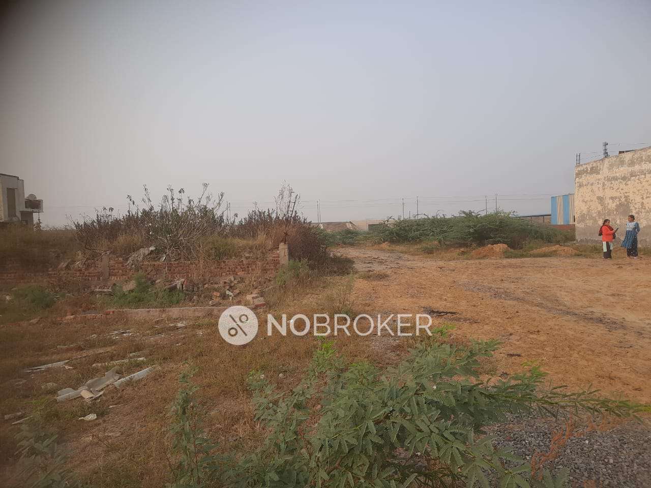 Plot For Sale  In Sohna