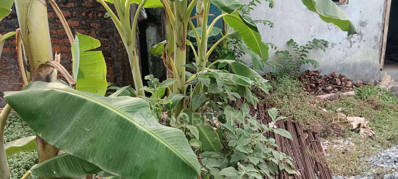 Plot For Sale  In Athipattu Pudhunagar