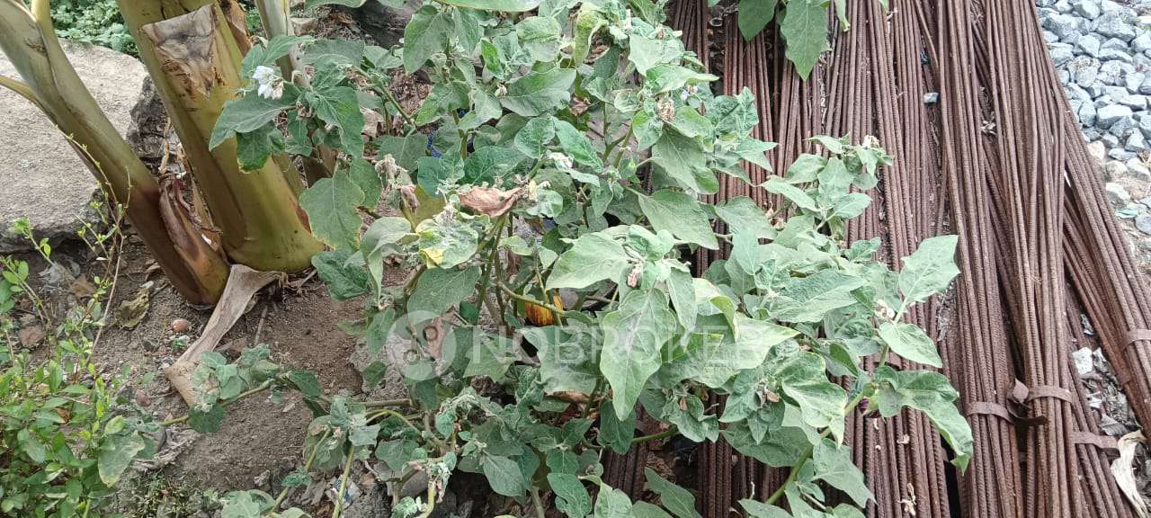 Plot For Sale  In Athipattu Pudhunagar