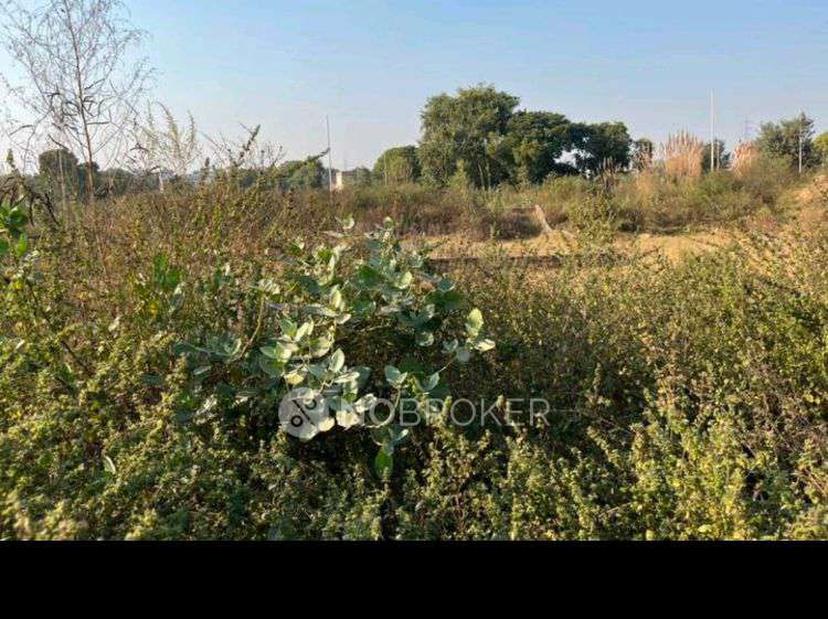 Plot For Sale  In 6%.kisan Kota Plot .near Benet Unnivarcity In C10, Bennett University, Greater Noida, Uttar Pradesh 201310, India