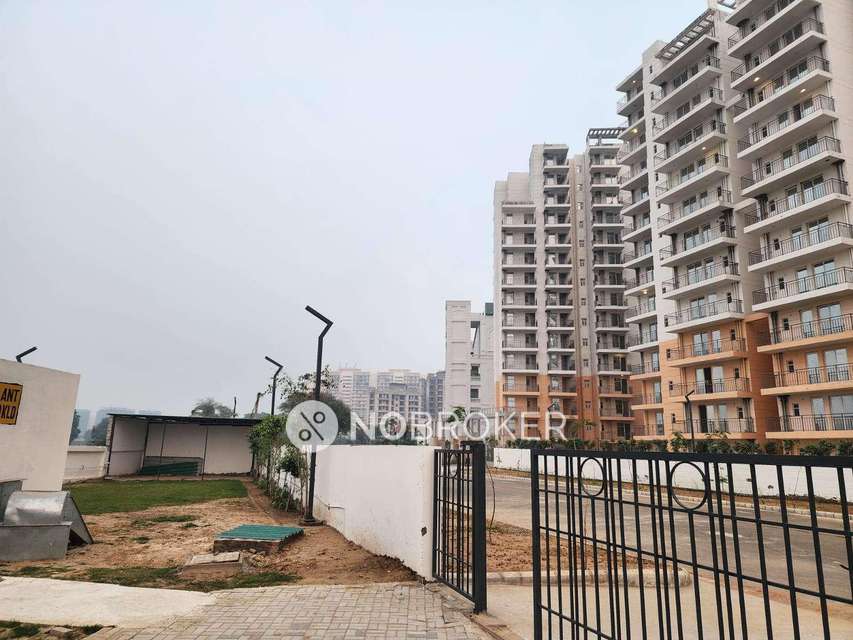 3 BHK Flat In Rof Amaltas, Sector 91 For Sale  In Sector 92