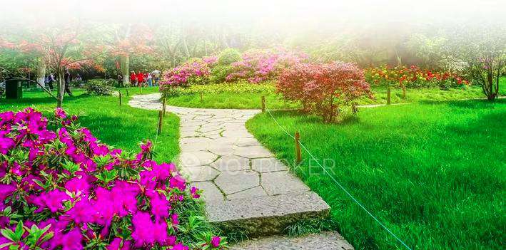 Plot For Sale  In Jms The Pride In Wazirpur