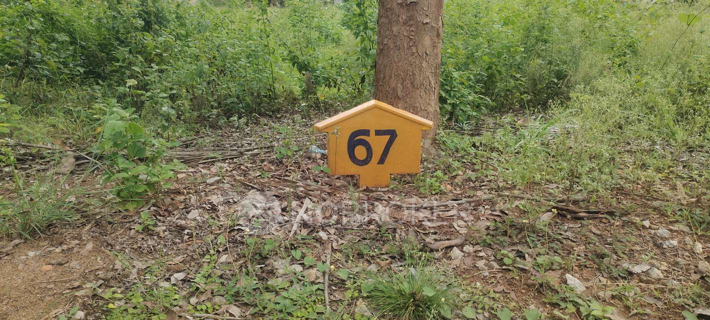 Plot For Sale  In Slv Shri Krishna Garden In Bannerughatta