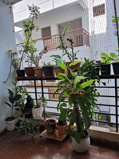 2 BHK Flat In Pearlite Lakeside Apartment, Parappana Agrahara For Sale  In Parappana Agrahara